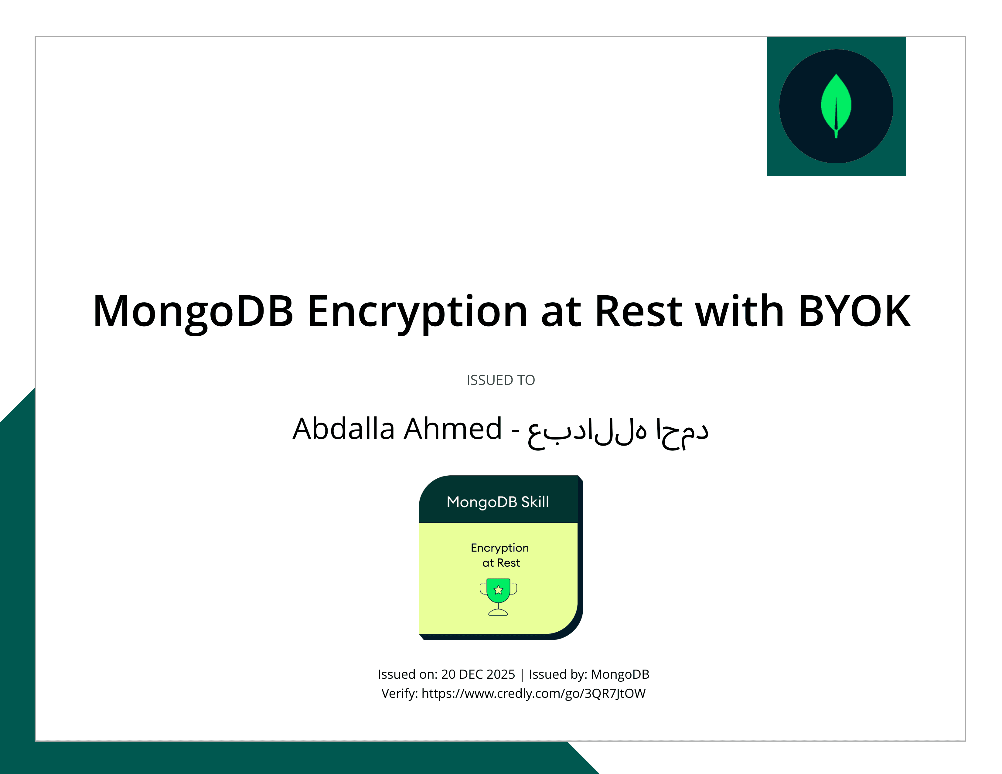 MongoDB Encryption at Rest