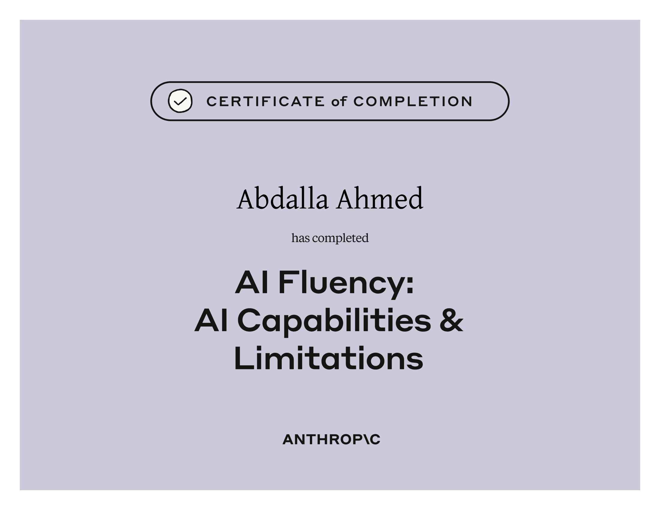 AI Capabilities and Limitations